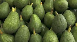 Retiran un lote de paltas peruanas del mercado por altos niveles de cadmio.