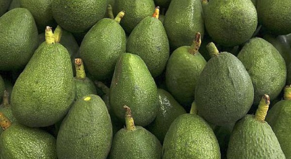 Retiran un lote de paltas peruanas del mercado por altos niveles de cadmio.