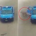 Captan a serenos abandonando a un perrito