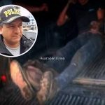 Diez delincuentes intentaron asaltar a empresa «Campo Verde» en Huaral.