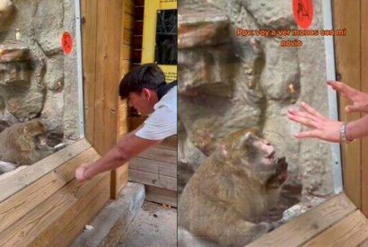 Joven hace truco de magia y un mono queda asombrado.