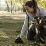 Multarán a ciudadanos que no recojan heces de sus mascotas en la vía pública.