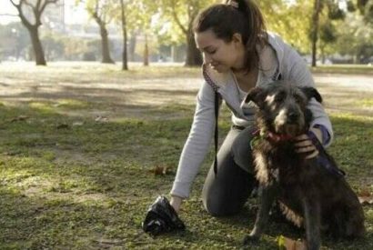Multarán a ciudadanos que no recojan heces de sus mascotas en la vía pública.
