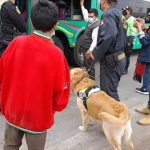 Policía de Carreteras incauta más de 1500 kilos de droga en peajes