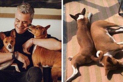 Vecinos de Diego Bertie aseguran que los perritos aúllan por horas hasta quedarse roncos