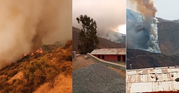 Sumbilca Dos muertos y varios heridos dejó trágico incendio forestal en Piscocoto