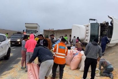 Tráiler cargado de maíz volcó y pobladores aprovechan para llevarse la mercancía.